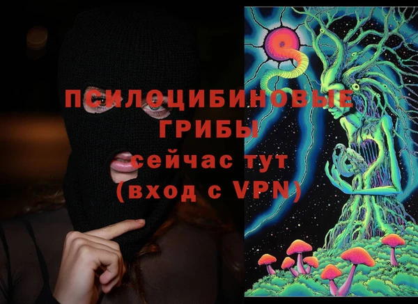 ПСИЛОЦИБИНОВЫЕ ГРИБЫ Алексеевка