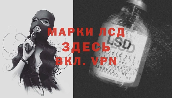 ПСИЛОЦИБИНОВЫЕ ГРИБЫ Алексеевка