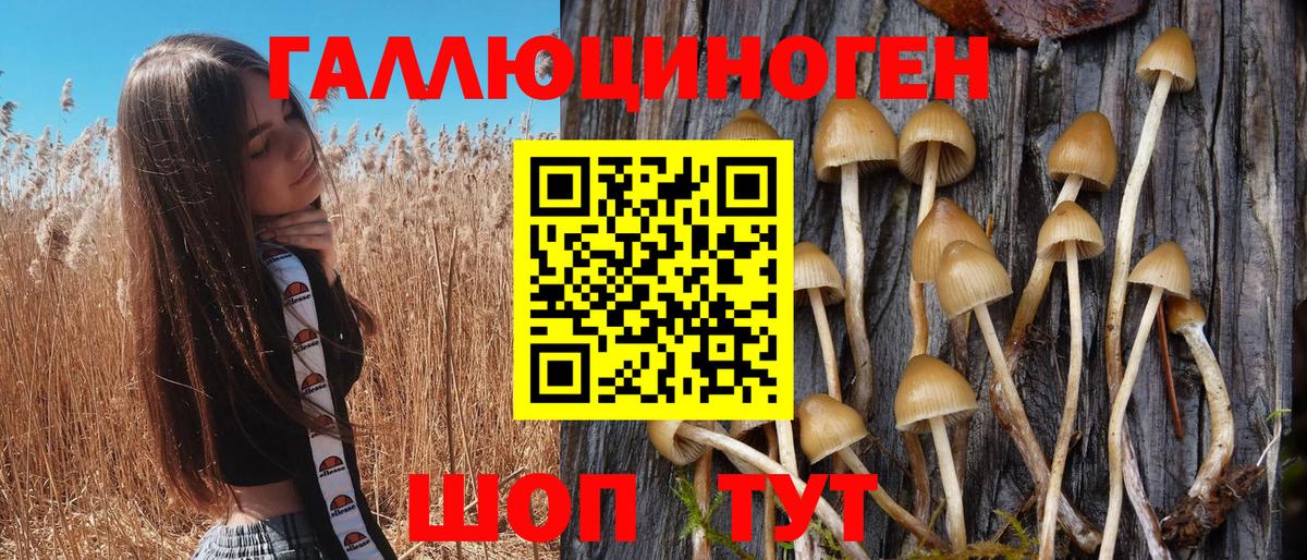 Псилоцибиновые грибы ЛСД  Вход с VPN  Сатка 
